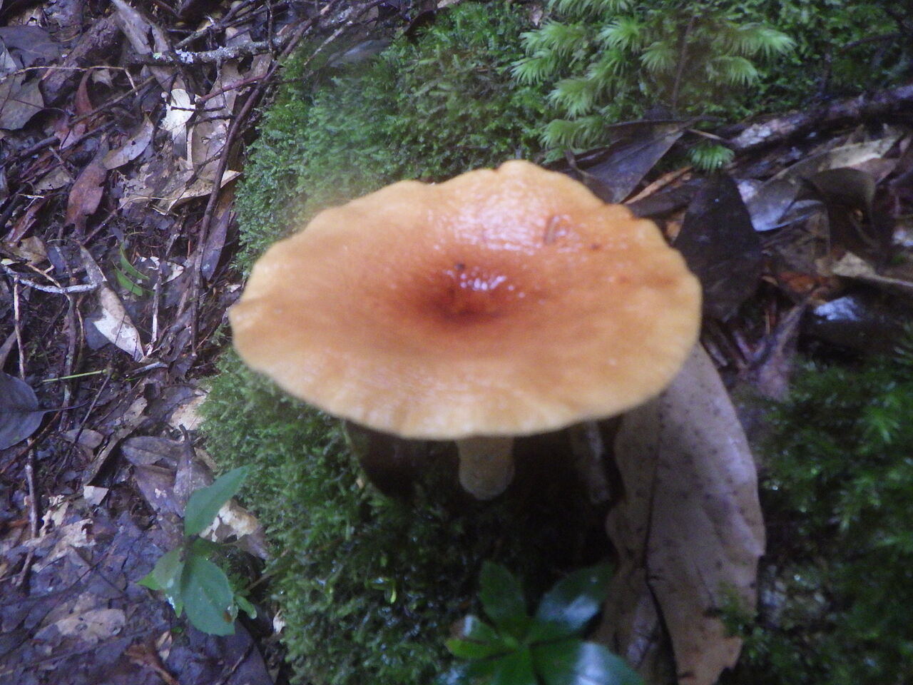 61C88799-CD31-4616-92C1-8096AFC468DD