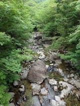 IMG_5835