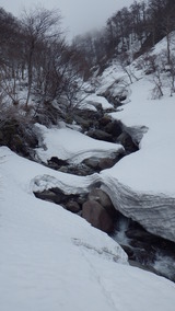 IMGP1117