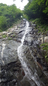 IMGP1342