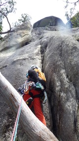 0074DCDA-1F15-42A0-9B55-7C186DA65418