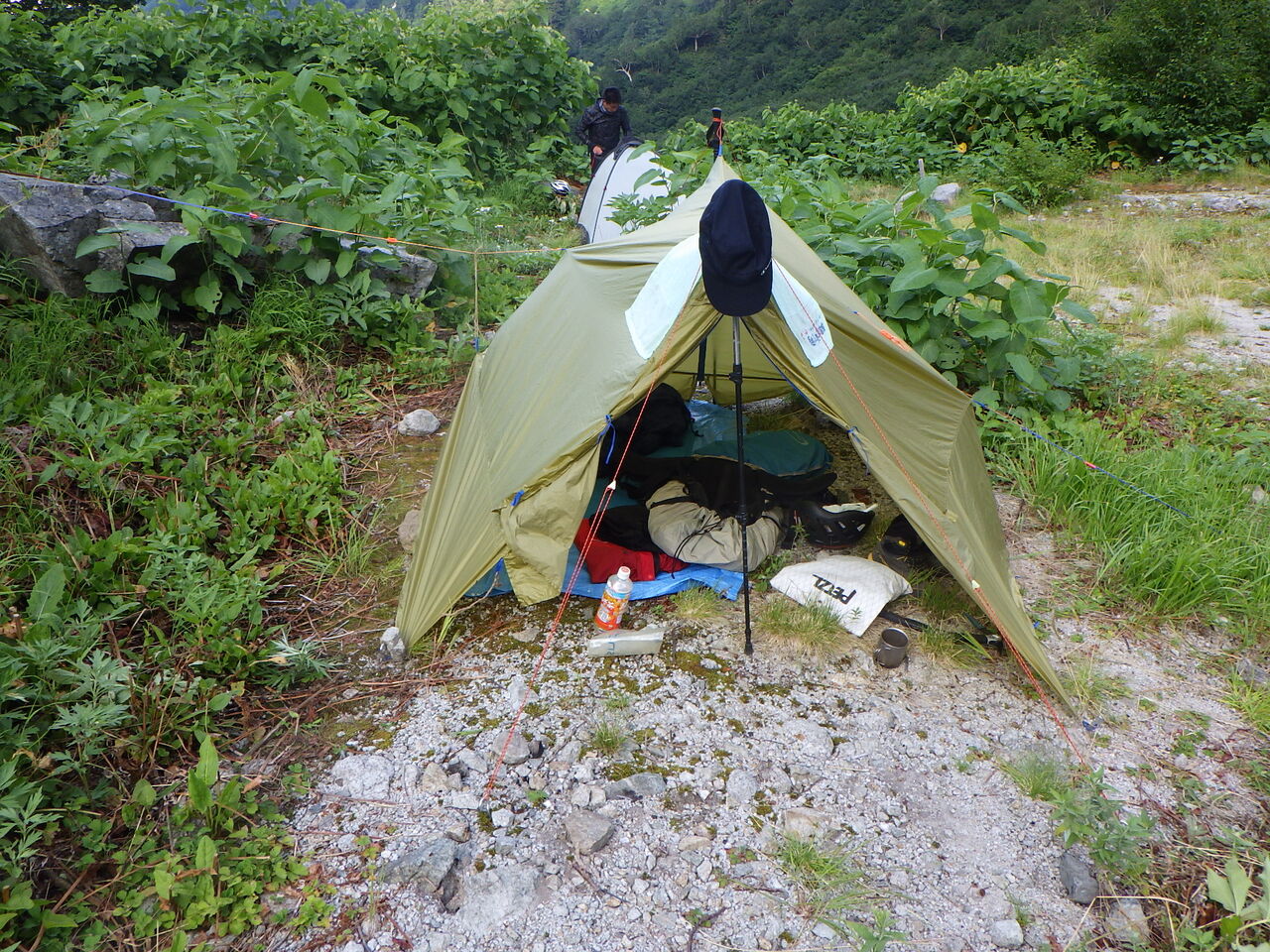 D50B8A7E-79E5-48A2-9A75-3B50C57B49F5