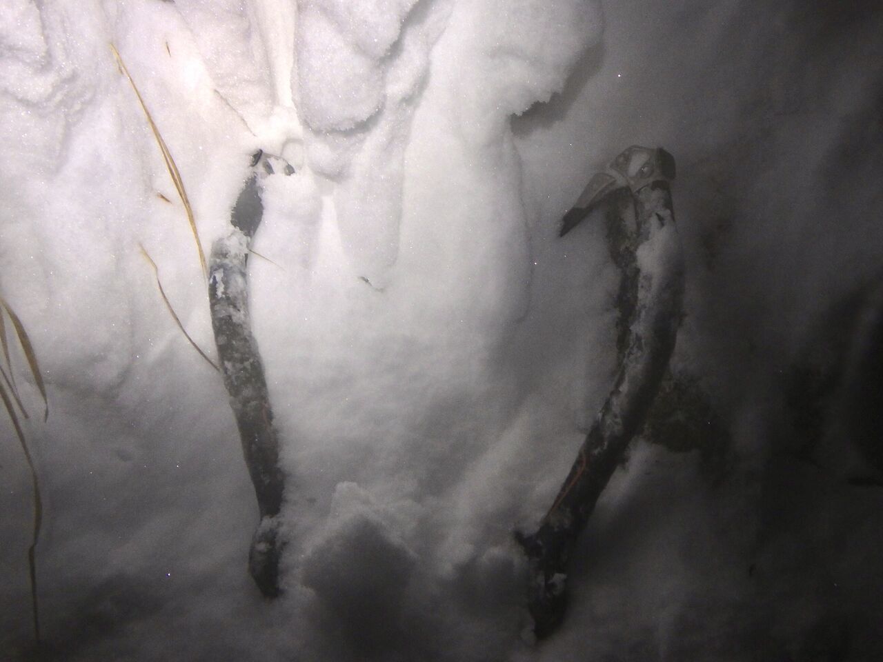 A49E2E37-B555-4F62-A537-8DC9B707A1A5