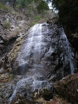 2条40m