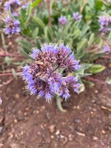 IMG_9553