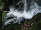 DSCF1329
