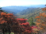 DSCF1185