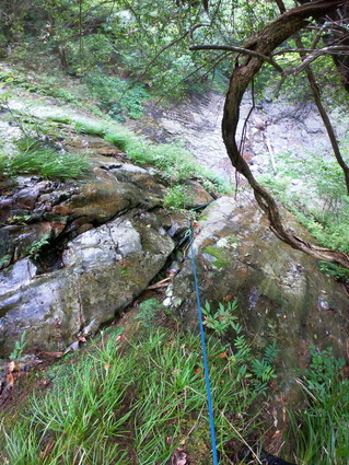 DTUJ0226