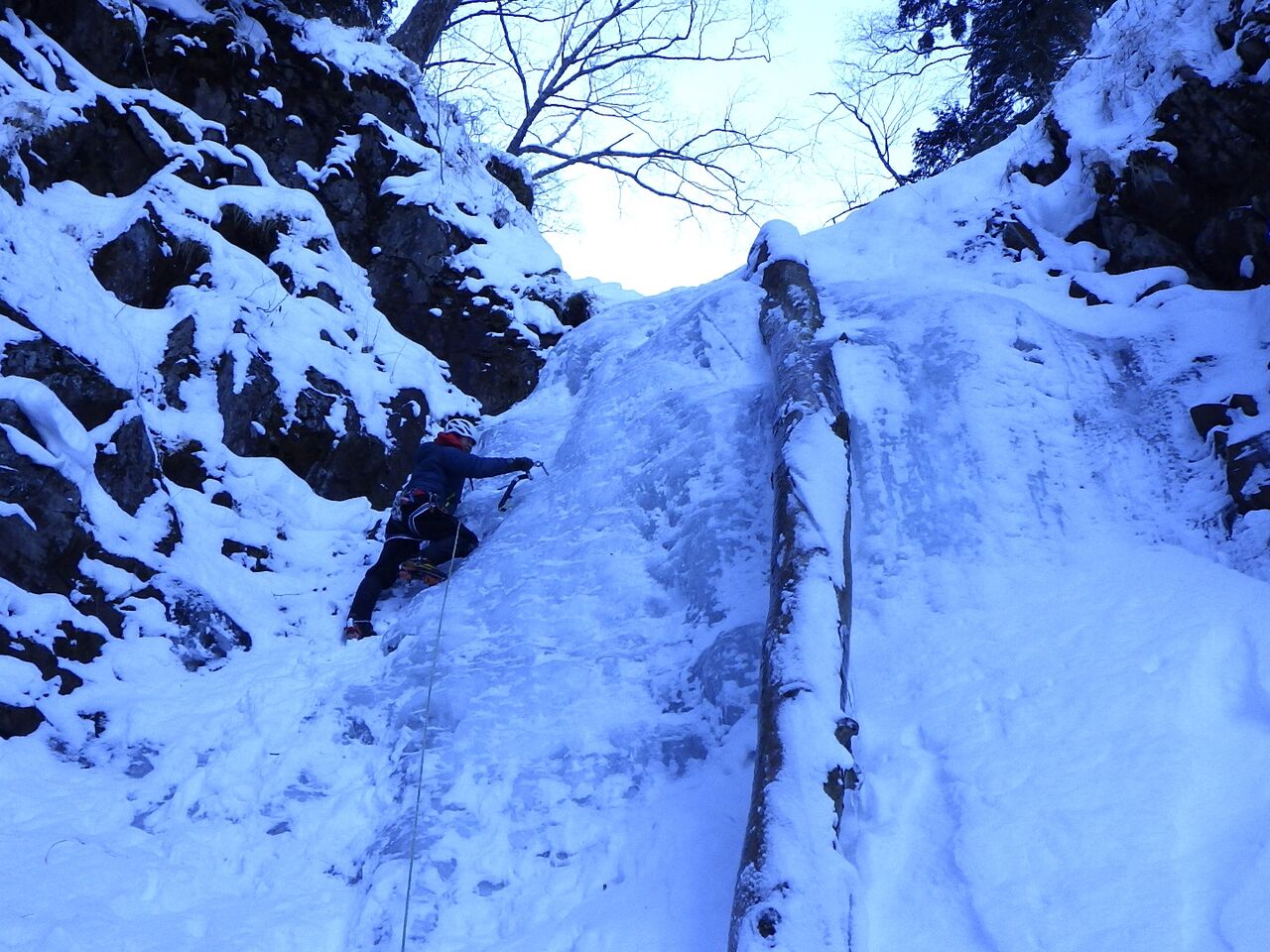 3529D264-2076-4039-BBAB-45A00B2521E5