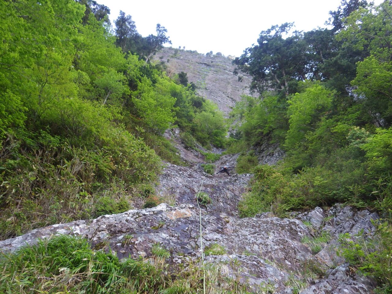 S__27435041