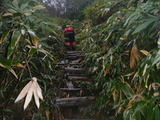 DSCF1417