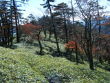 DSCF1180