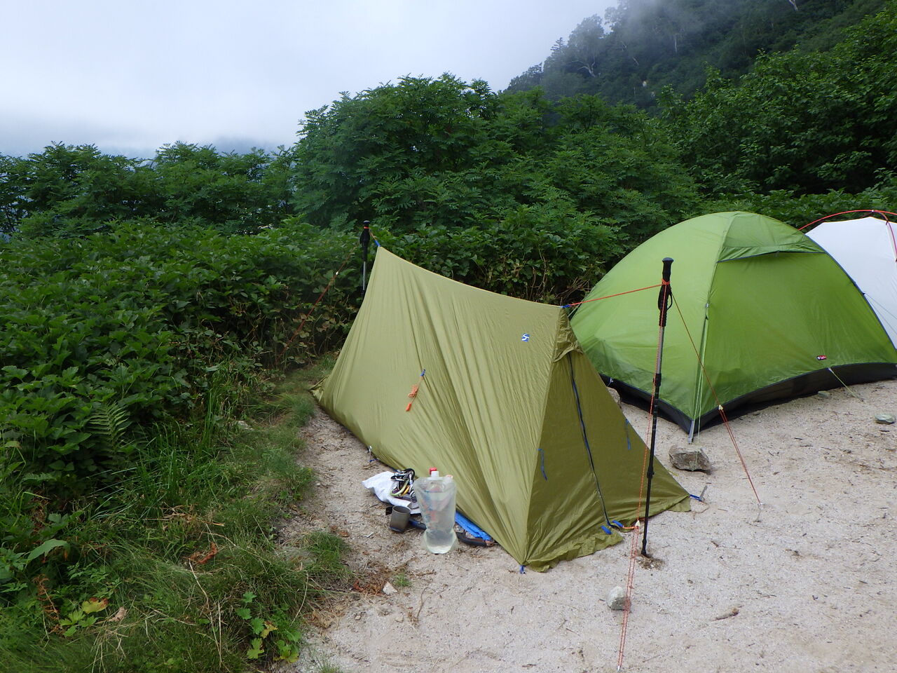 2F51C47D-C235-4D5D-A55D-371EDD36459E