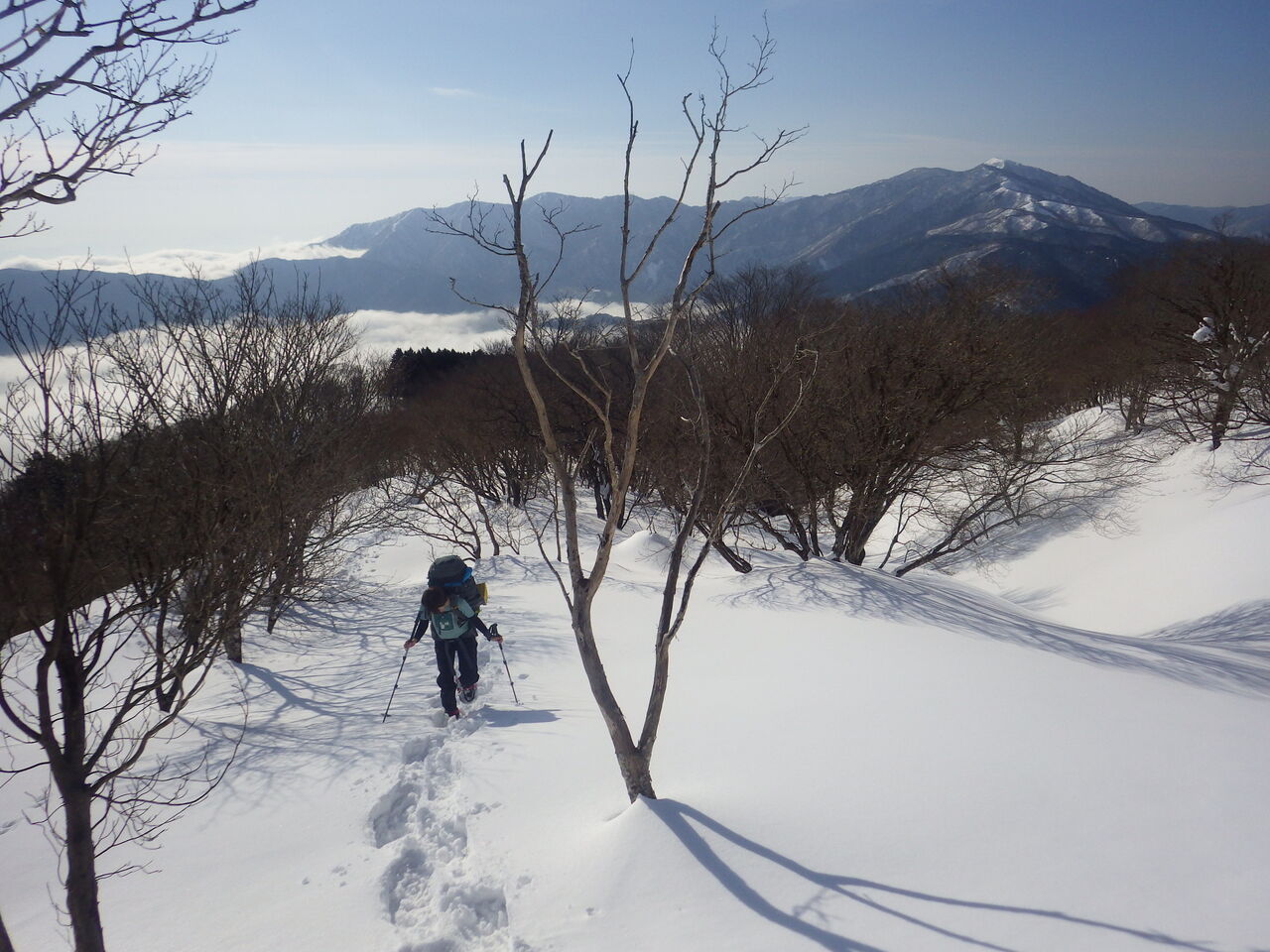 1A3BB7DA-FA39-4675-A16D-86B17D8CBECD