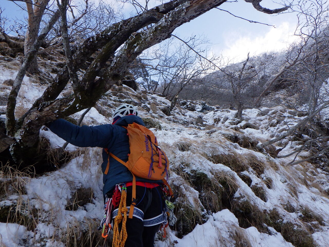 33FA3471-CFDD-44C2-AFF9-52CC297C3EEB