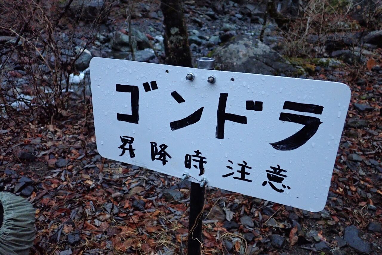 5B832DA6-980A-454B-BEDF-DA4168C03002