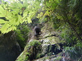 DSCF0739