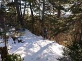 line_226692741838084