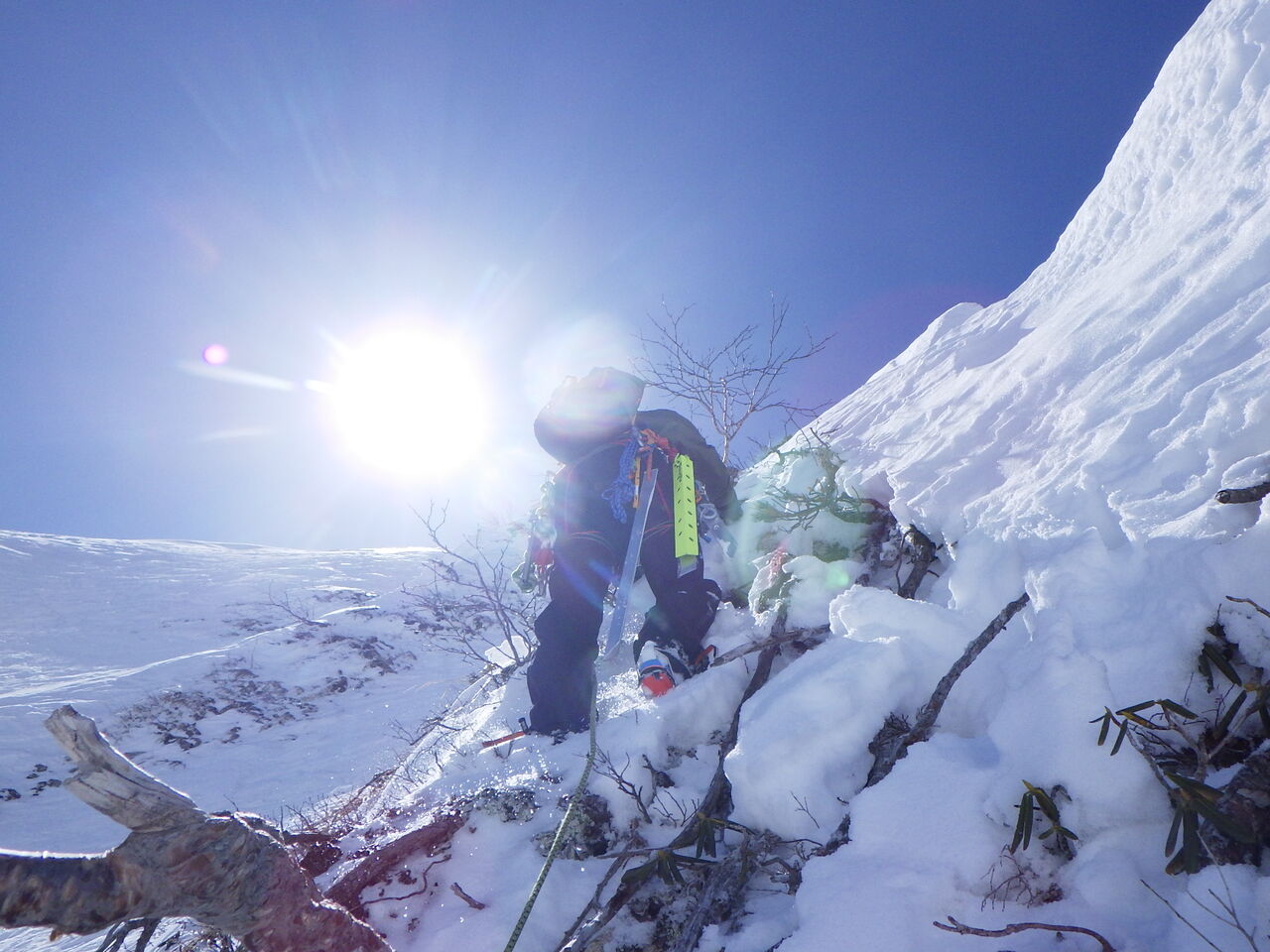 3A2C8A0C-B86A-4F00-B62A-762C94AE0648