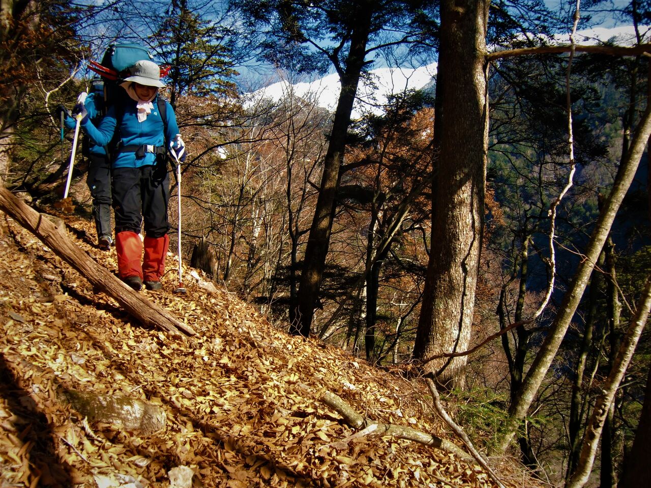 497F5633-4E1A-4491-B0A6-87B6FDBB2507