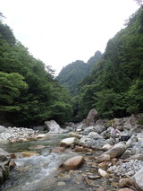 P8110502