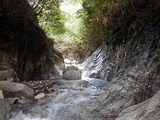 DSCN7159