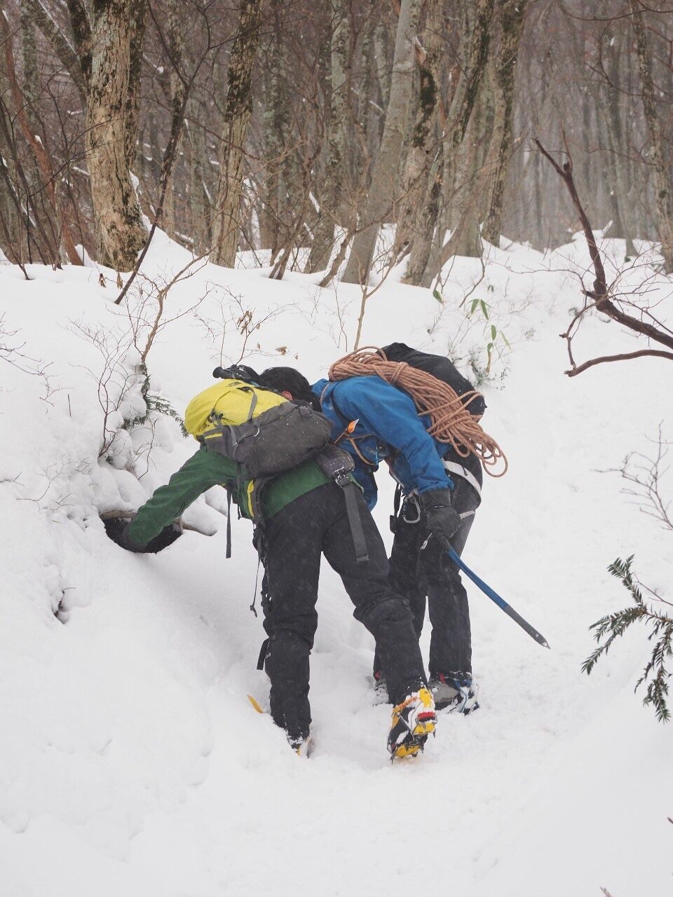 2401BEAE-5CD4-4311-AFB8-CC3668CBC12F