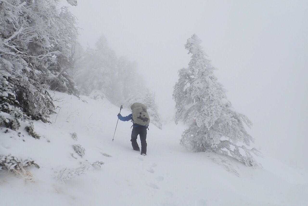 567F8497-8484-4B33-B310-C5646B836295