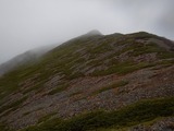 DSCN5112