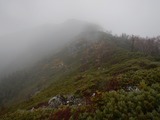 DSCN5096