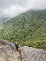 2D35B589-2FCE-460A-9AC3-E33429AD7E1D