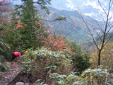 DSCF1387