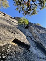 IMG_0764