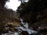 DSCN1004