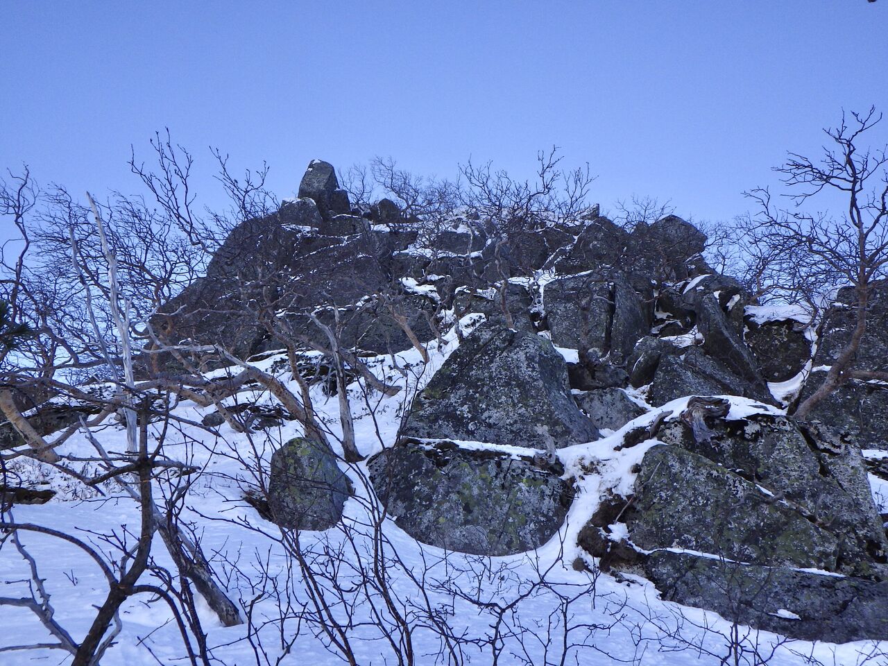 645ECA93-FBA6-4918-BD4F-63C3DA58C99B