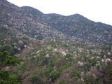 帝釈北斜面　拡大