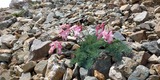 IMG_20210726_134858_23
