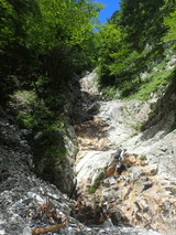 P8120552