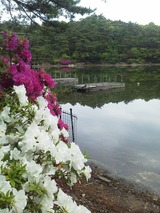 NEC_0066 (1)