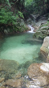 IMGP2114