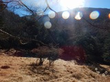 DSCN1027