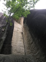 E3CF99BD-3A69-4DE7-A410-6FA2FBBA4651