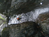 DSCF0734