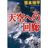 51CK65VVDGL__SL500_AA300_