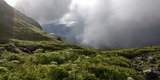 IMG_20210728_060236_3