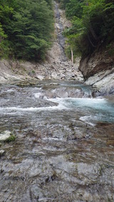 IMGP1460