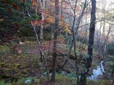 DSCN5016