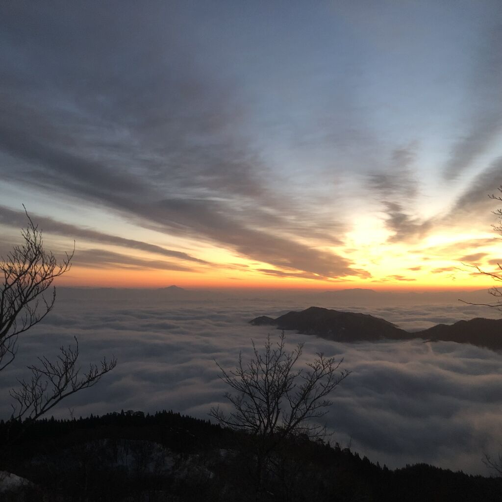 EA7A4FFD-F557-4B33-B4FA-17463FA104A6