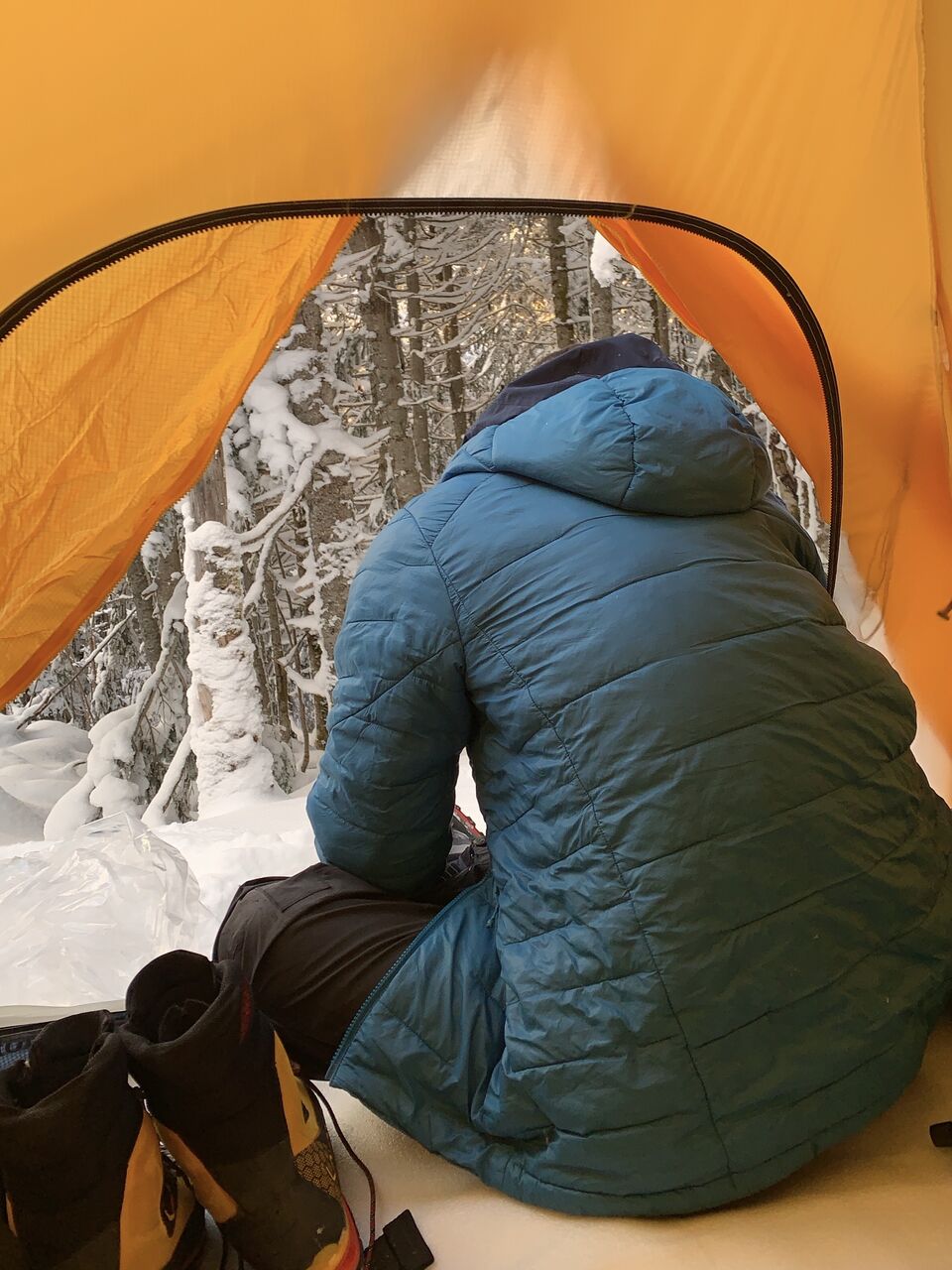 2FDE569F-35EB-482B-810F-AA0F0E637256