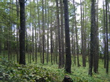 DSCF1704